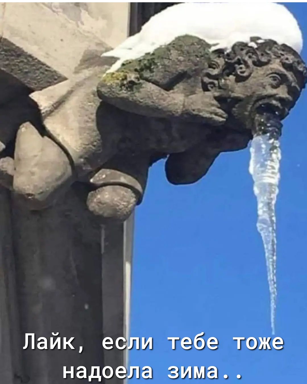 щ Пайк е и тебе тоже надо а зима