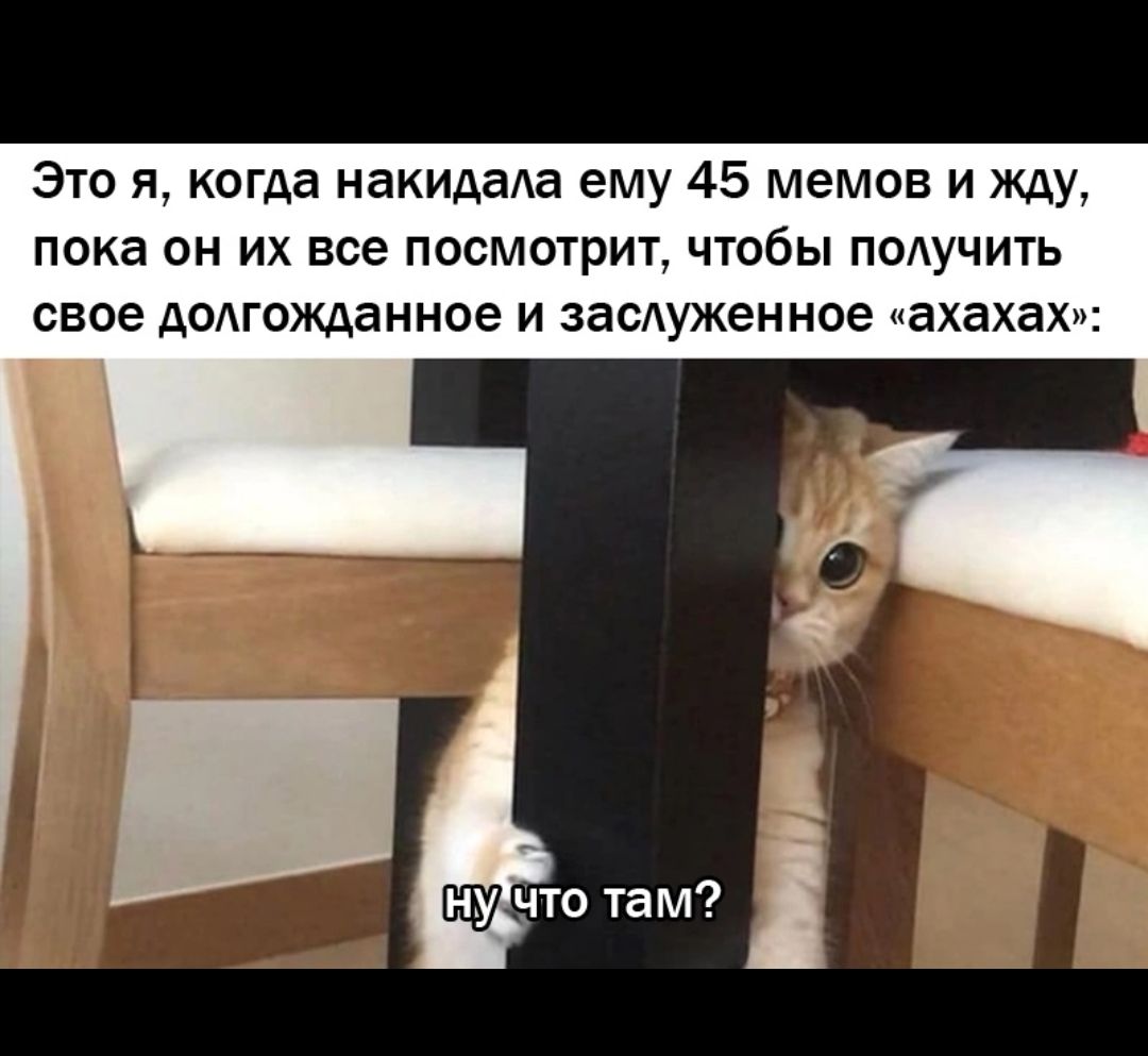 Это я когда накидаАа ему 45 мемов и жду пока он их все посмотрит чтобы пмучить свое АодгоЖАанное и замужем ное чахахах ЧТО ТЕМ і