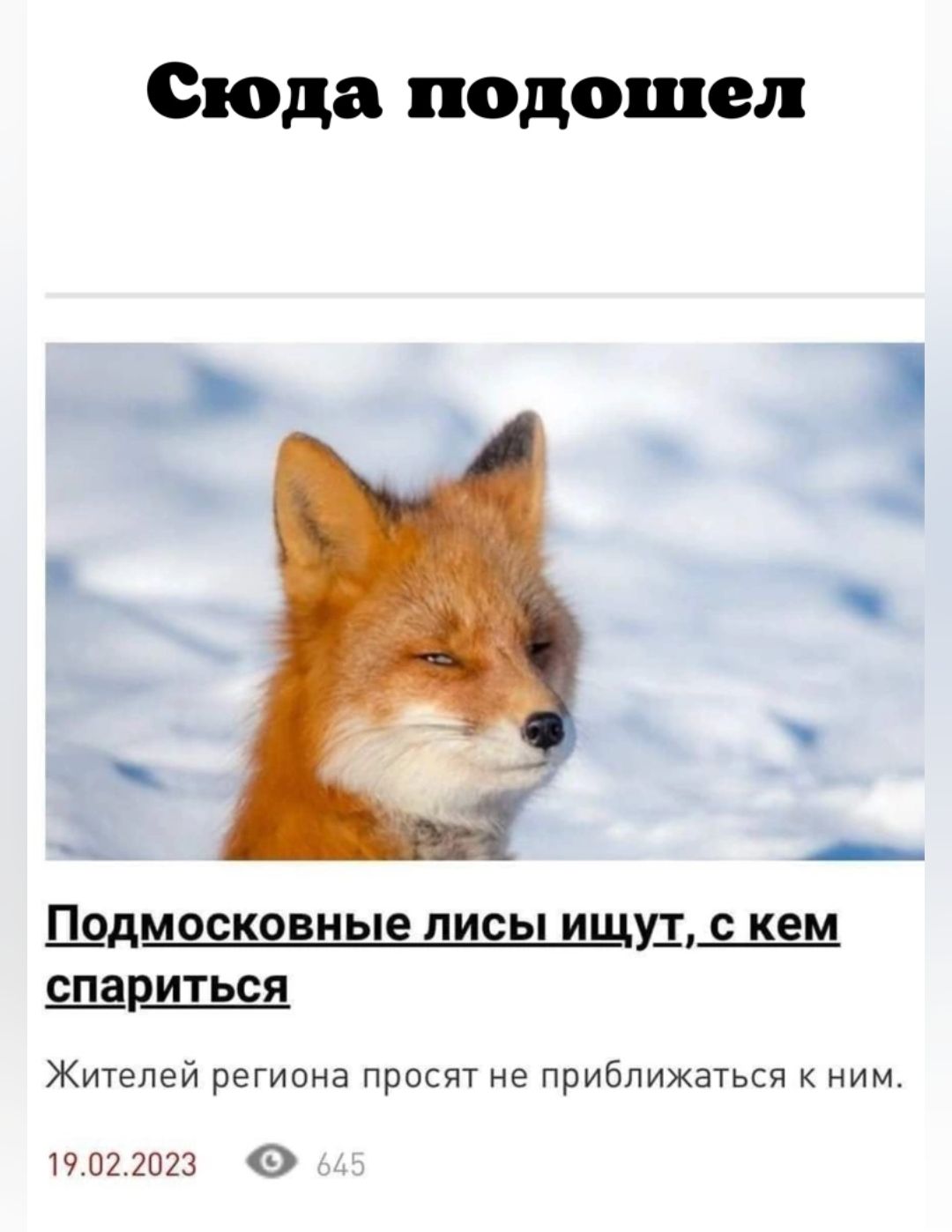 Сюда подошел _ _ П_одм99к9вны3 лиды ищу кем Жителей региона просят не приближаться к ним 19 пг 2023 0