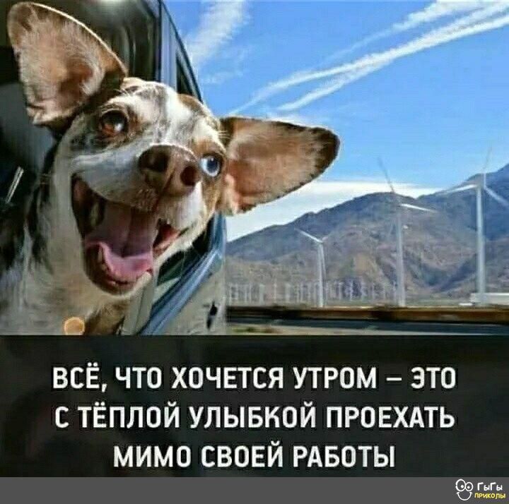 всё что хочется утром это тёплой улывкой прпвхдть мимп своей РАБОТЫ 9931