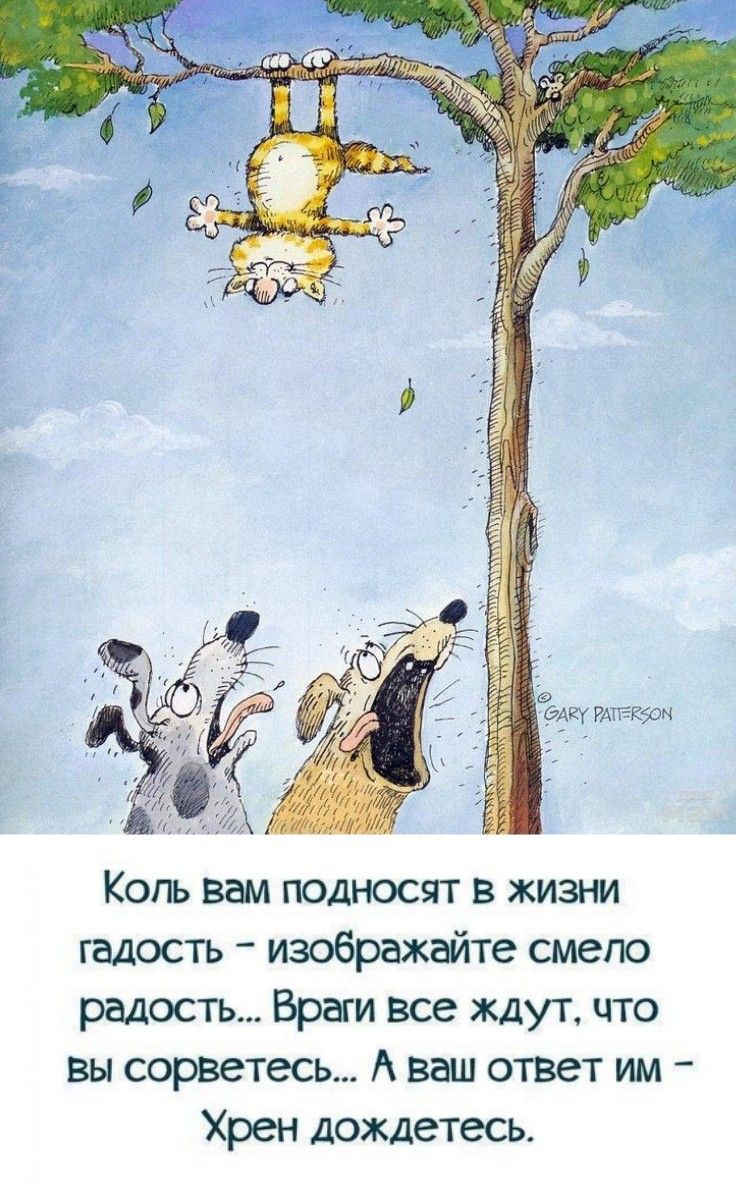 елку ите ш Копь вам подносят в жизни гадость изображайте смело радость Враги все ждут что Вы сорветесь А ваш ответ им Хрен дождетесь