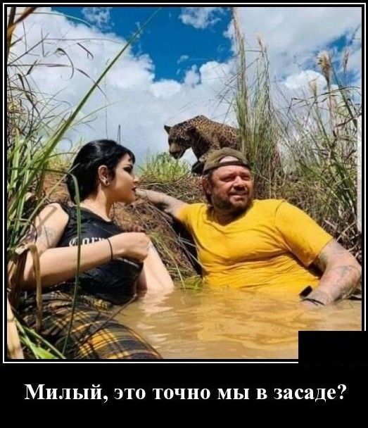 Милый это точно мы в засаде