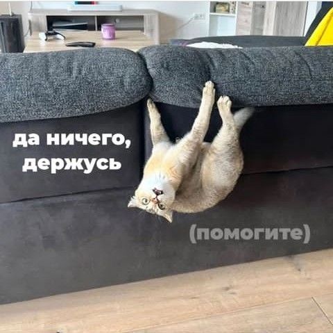 да ничего держусь можешите