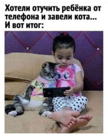 Хотели отучить ребёнка от телефона и завели пота и вот итог