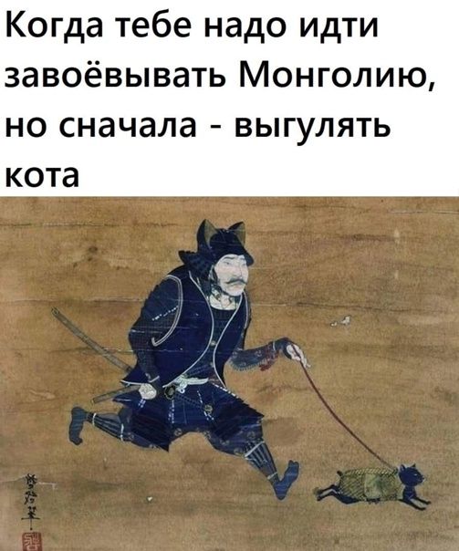 Когда тебе надо идти завоёвывать Монголию НО сначала ВЫГУЛЯТЬ кота
