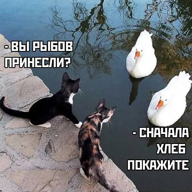 ХЛЕБ ППКПЖИТЕ