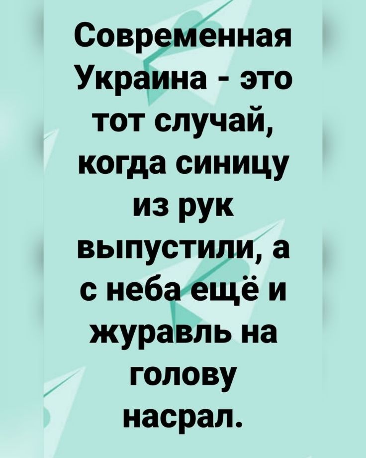 Совр менная Укр ина это тот случай когда синицу из рук выпустит а с неб щё и жураЁіь на голову насрал