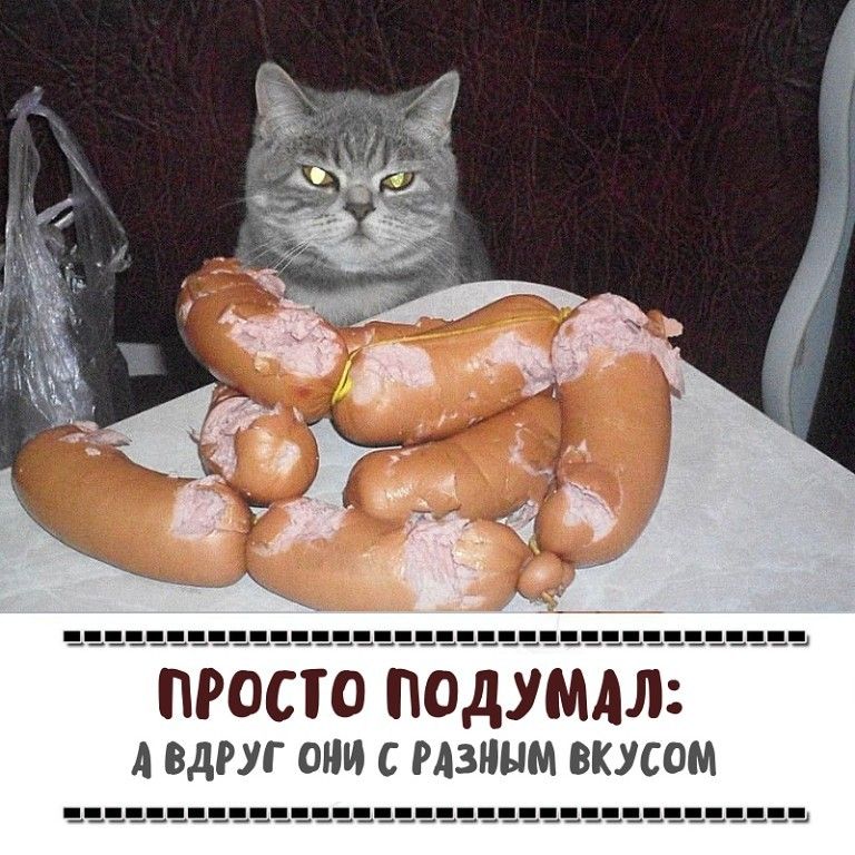 просто подумлл А ВДРУГ Ш РАЗИНМ ВКУСОМ