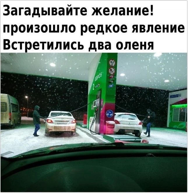 Загадывайте желание произошло редкое явление Встретились два оленя
