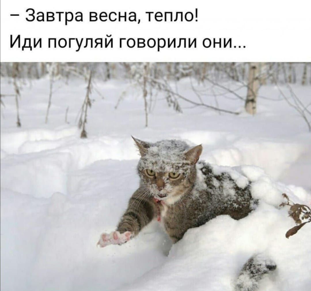 Завтра весна тепло Иди погупяй говорили они