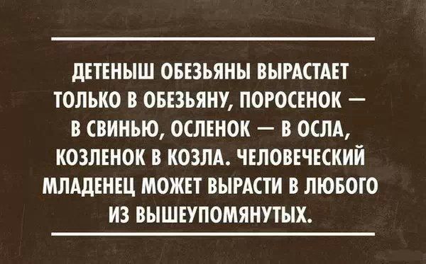 ЛЕТЕНЫШ ОБЕЗЬЯНЫ ВЫРАСТАЕТ ТОЛЬКО В ОБЕЗЪЯНУ ПОРОСЕНОК В свинью ОСЛЕНОК В ОСЛА КОЗЛЕНОК В КОЗЛА ЧЕЛОВЕЧЕСКИЙ МЛАДЕНЕЦ МОЖЕТ ВЫРАСТИ В ЛЮБОГО ИЗ ВЫШЕУПОМЯНУТЫХ