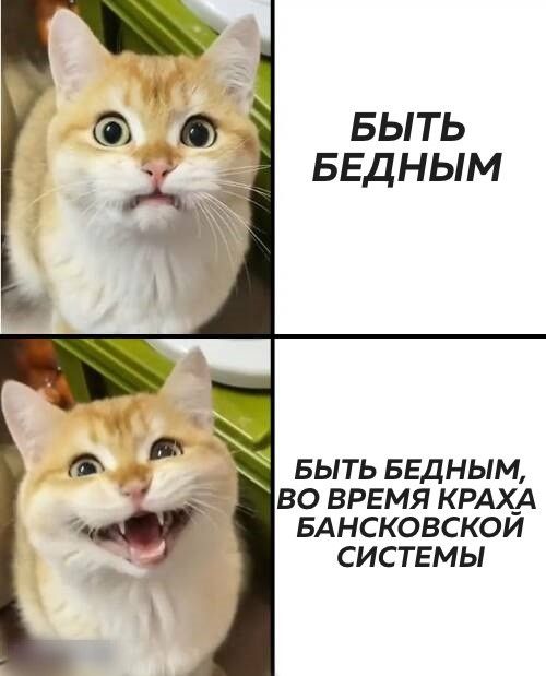 БЫТЬ БЕДНЫМ выть БЕДНЫМ во время КРАХ_А БАНСКОВСКОИ системы