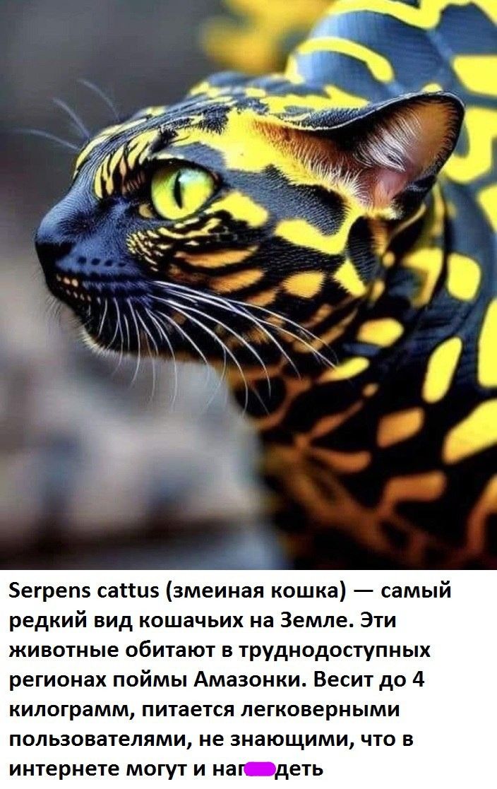 етреп5 саіШэ змеиная кошка самый редкий вид кошачьих на Земле Эти животные обитают в труднодоступных регионах поймы Амазонки Весит до 4 КИЛОГРЭММ ПИТЭЕТСЯ легковерными ПОЛЬЗОЕВТЕЛЯМИ НЕ ЗНЭЮЩИМИ ЧТО В ИНТЕРНЕТЕ МОГУТ И НЕТ дЕТЬ