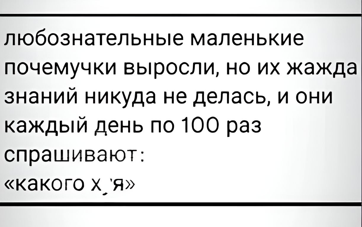 любознательные маленькие почемучки выросли но их жажда знаний никуда не делась и они каждый день по 100 раз спрашивают какого хя