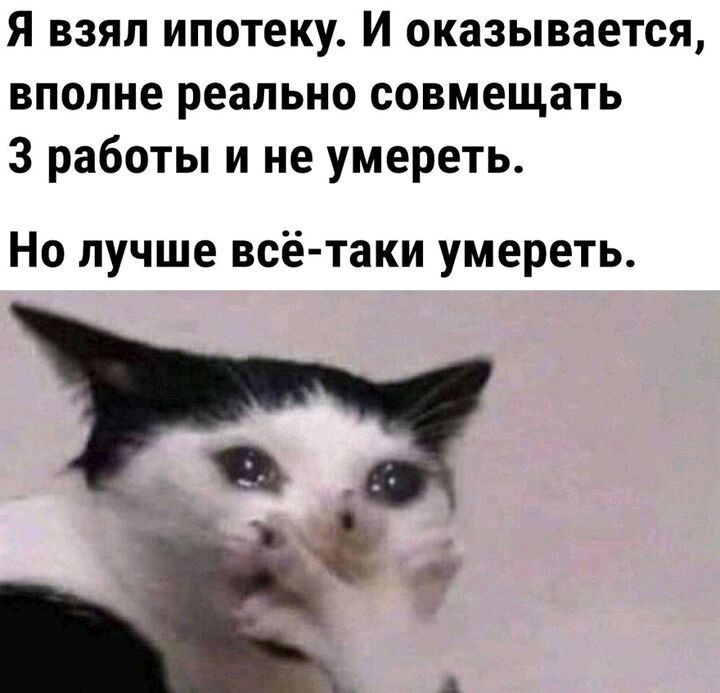 Я взял ипотеку И оказывается вполне реально совмещать 3 работы и не умереть Но лучше всё таки умереть