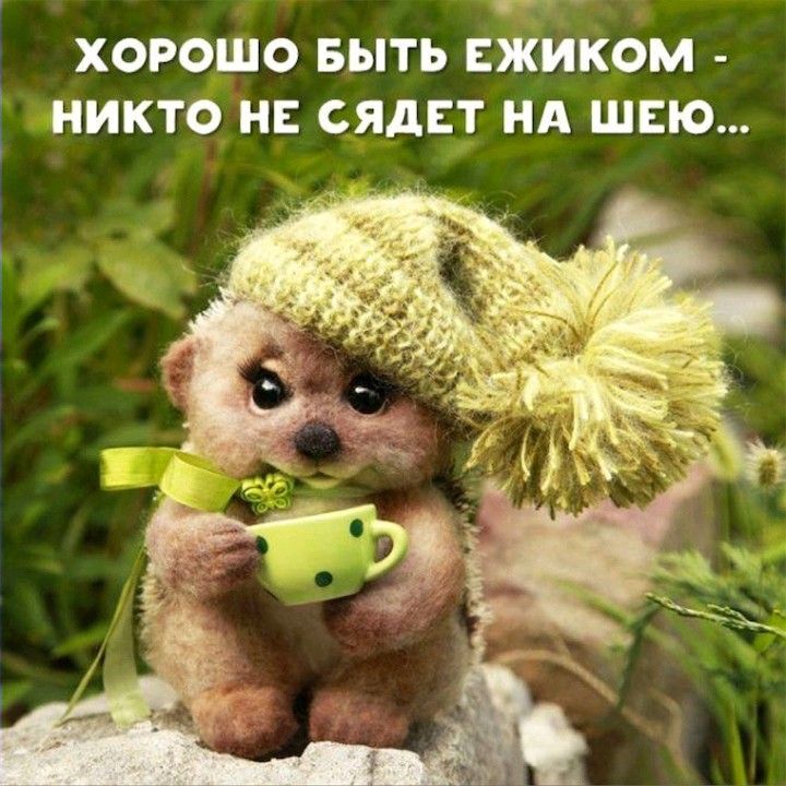 хорошо выть жиком никто сядвт нд швю