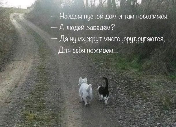 7 введем дд из другрвггютвя