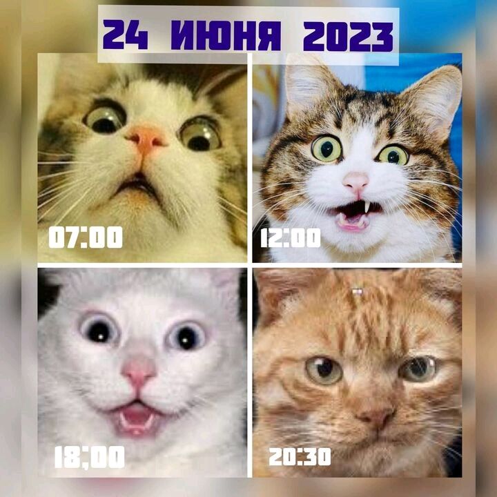 26 ИЮНЯ 2023 ЧЁ гт