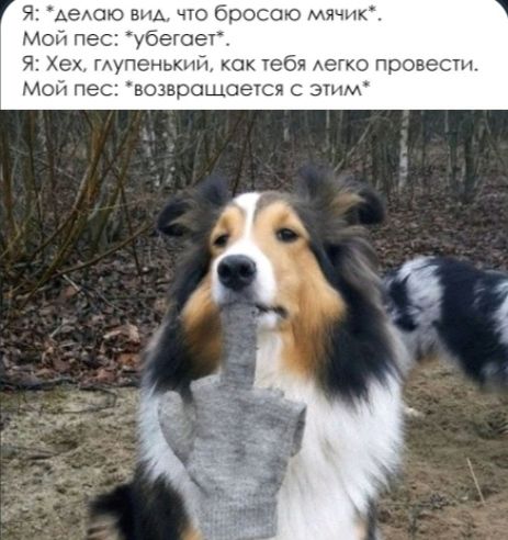Я Аехак вид уго бросаю мячпк мол пес убегое я Хех пупа ными как тебя АЭГКО провести М ПЗС ЕОЗБПОЦ КОЕПСЙ С ЭУНМ