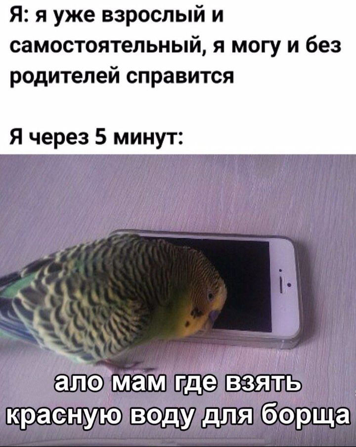 Я я уже взрослый и самостоятельный я могу и без родителей справится Я через 5 минут