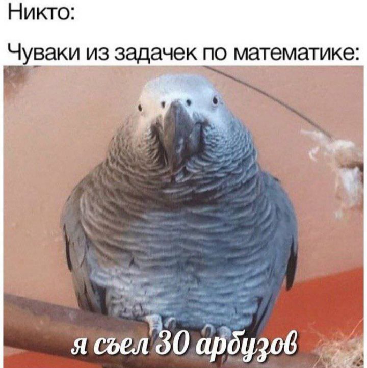 Никто Ч ВЗКИ ИЗ ЗЗДЗЧЭК ПО математике