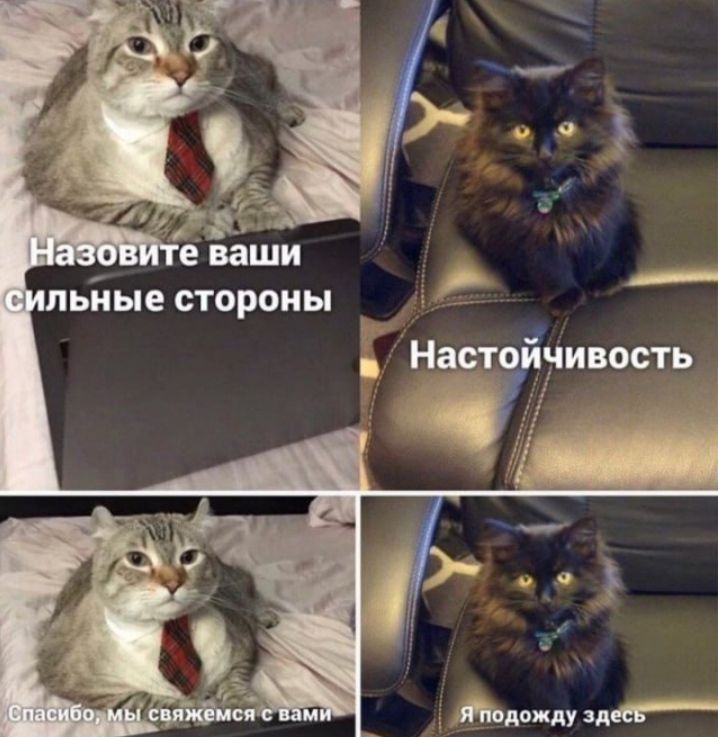 Наст чивость __ ьйые стороны