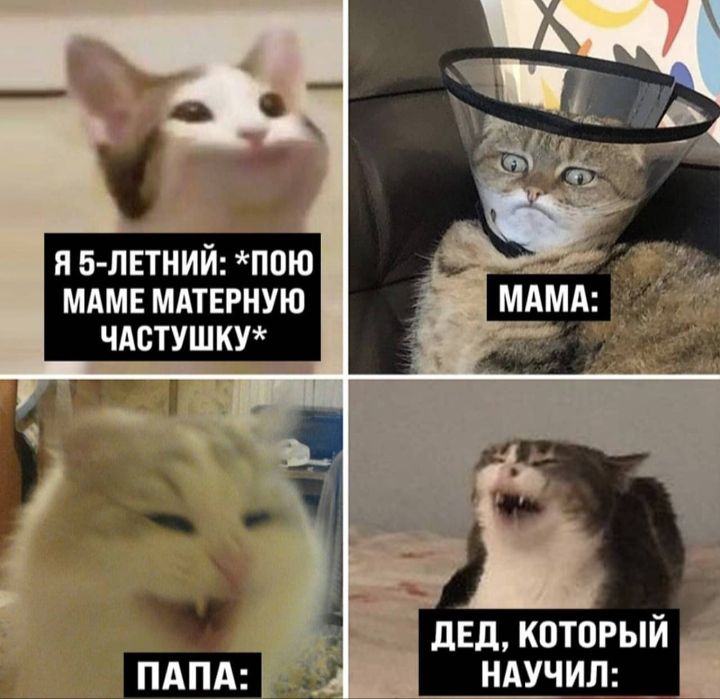 двд который научил