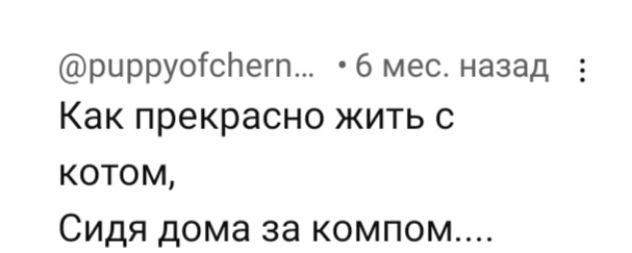 рирруоГсЬегт 6 мес назад Как прекрасно жить КОТОМ Сидя дома за компом