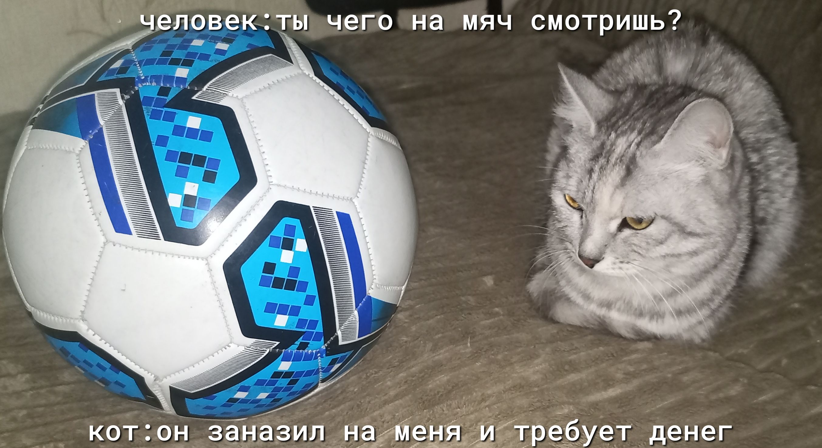 смотришь копов за вами ндлдщэърёэует денег