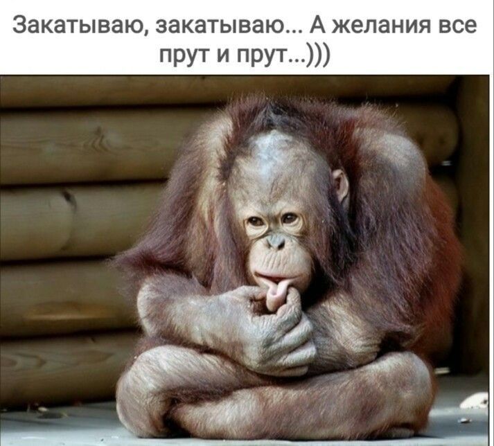 Закатываю закатываю А желания все прут И поул