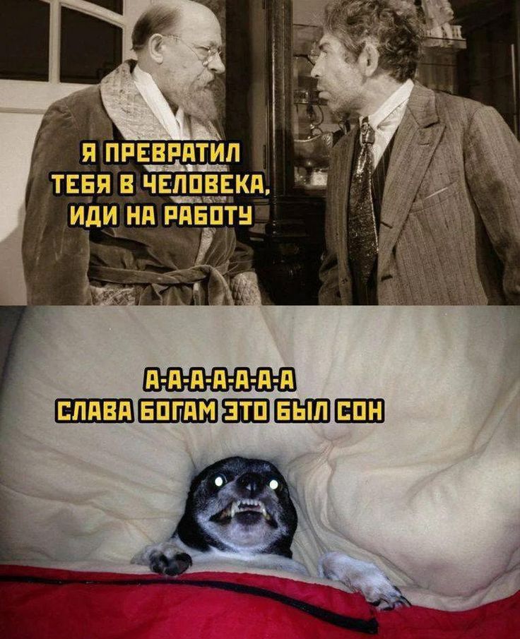 ч и принятии тен чи иди_ н пп п п п п д п п _ЕШШ БШПШП