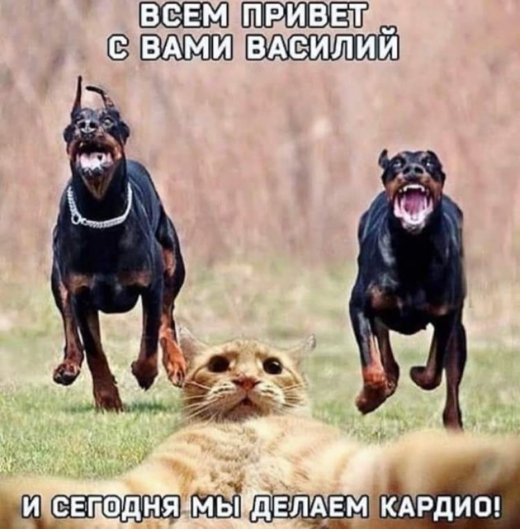 3 А
