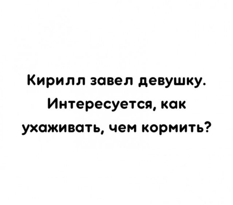 Кирилл завел девушку Интересуется как ухаживать чеи кормить