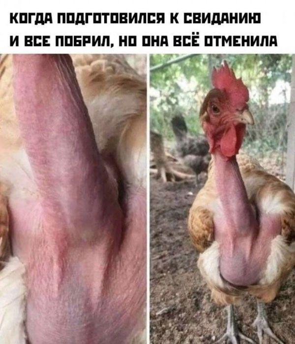 КШМ ППдГПТПВИдЕП К БПИМИИШ И ВСЕ ППБРИЛ НП ПНП ВСЁ ПТМЕРИПП
