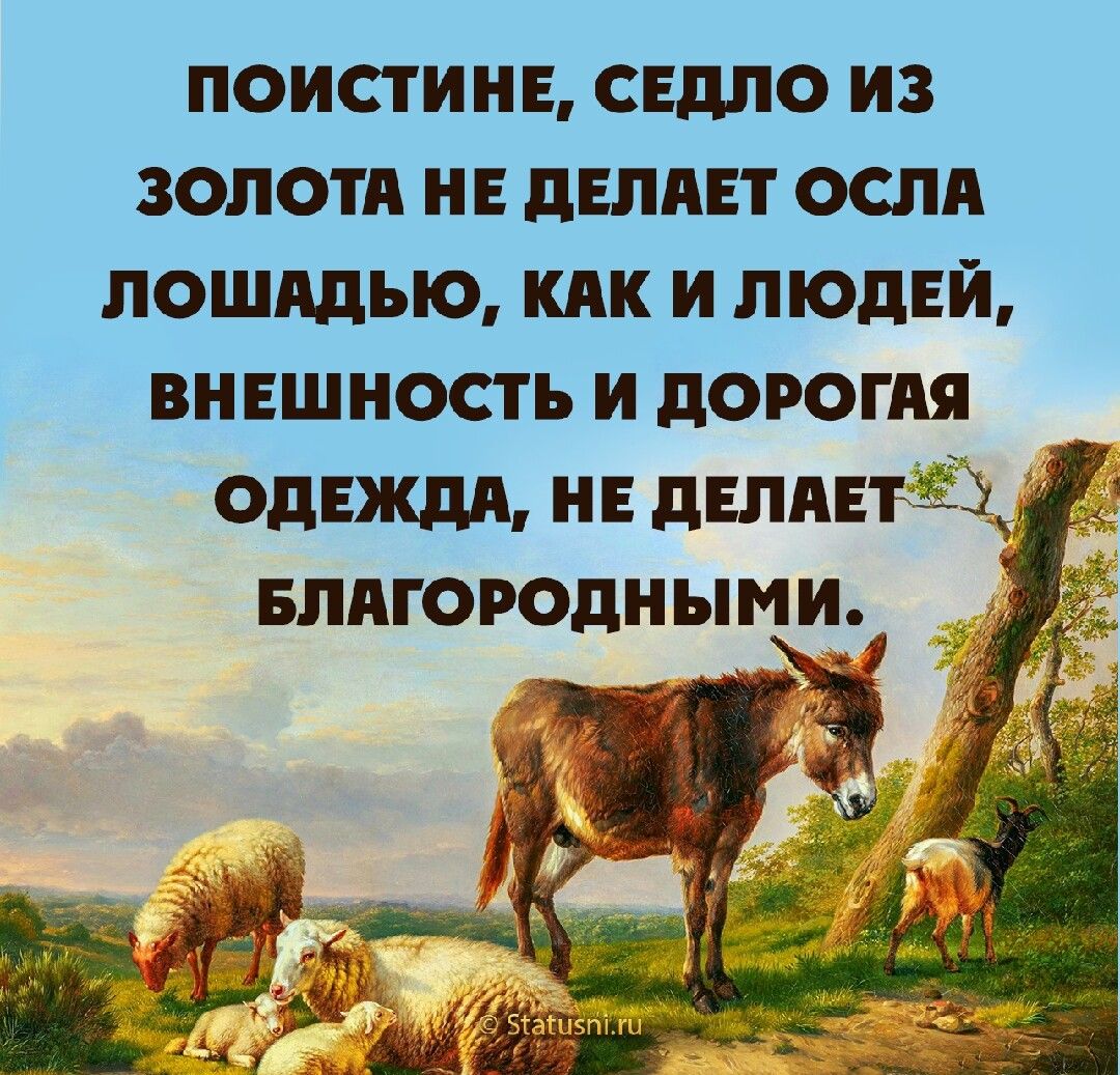 поистинв свдпо из золотд нн дЕппЕт если пошддью кпк и людей внешность и дорогпя ОДЕЖДА и двлпвтёіщ Ё вппгороднымёъ Э