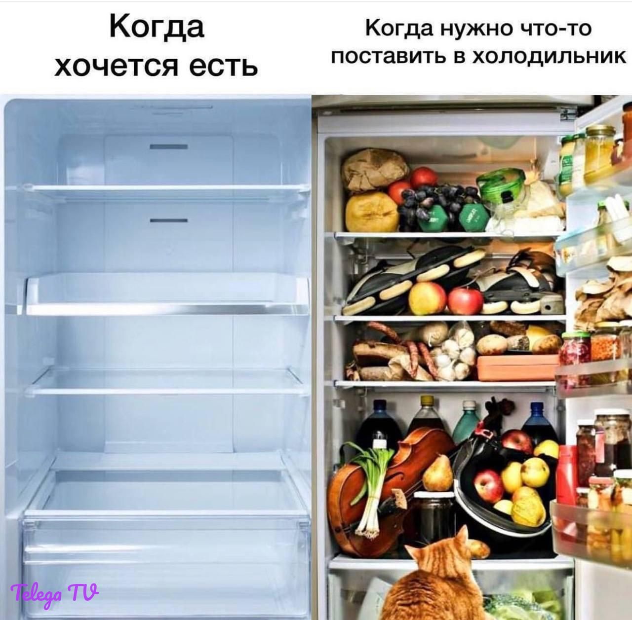 Когда Когда нужно что то хочется есть поставить в холодильник