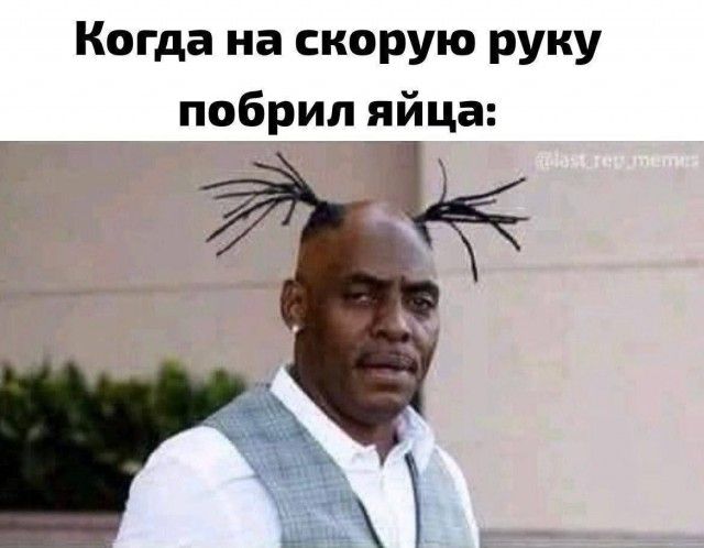 Когда на скорую руку побрил айца