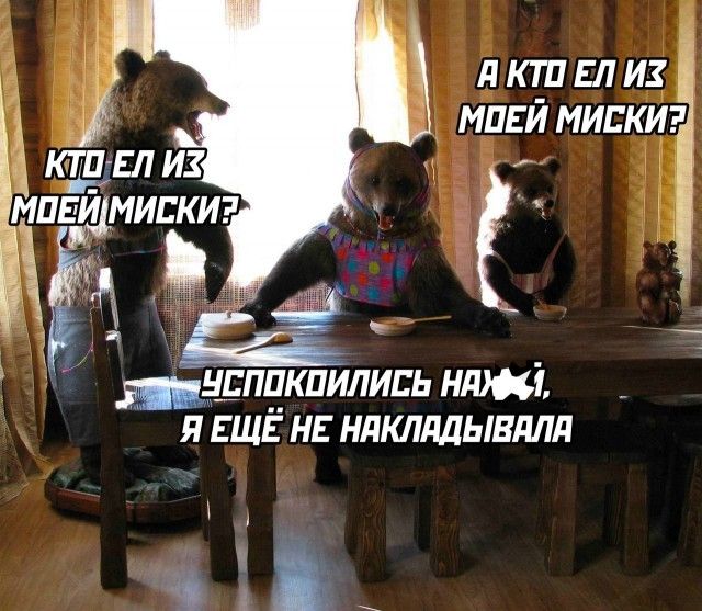 кт_п гл из мини миски шнспдкпились ншиі я ЕЩЕ не нлклддывдлл 92