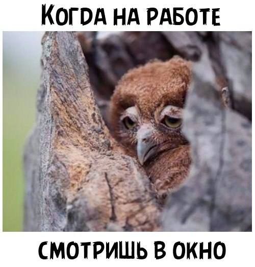 КОГОА НА РАБОТЕ о н К О в ь и Р т о М С
