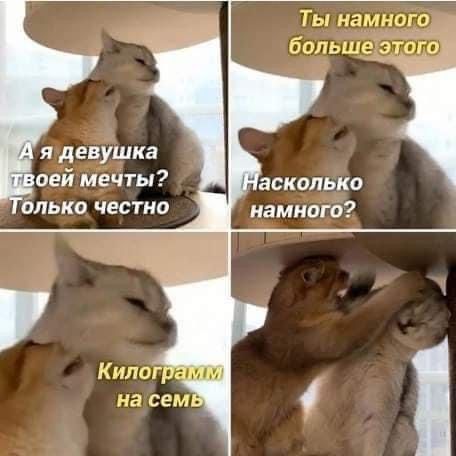 Ты Р3ь0 болыь элт я д евушка сей мечты асколько ВЛьКО честно намного К плаг на сем