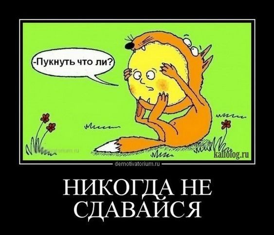 НИКОГДА НЕ СДАВАИСЯ