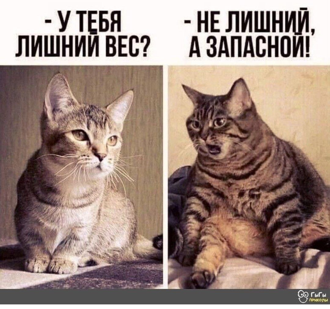 У ТЕБЯ НЕ ЛИШНИЙ ЛИШНИИ ВЕБ А ЗАПАВНОИ