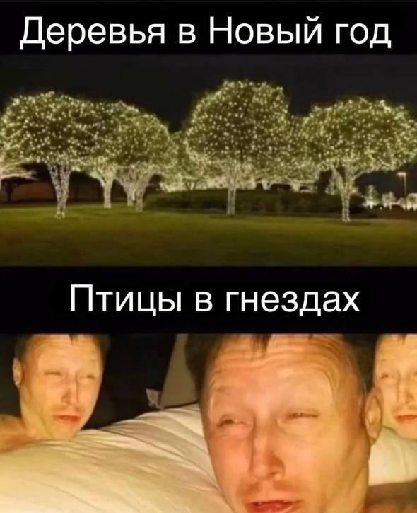 Деревья в Новый год