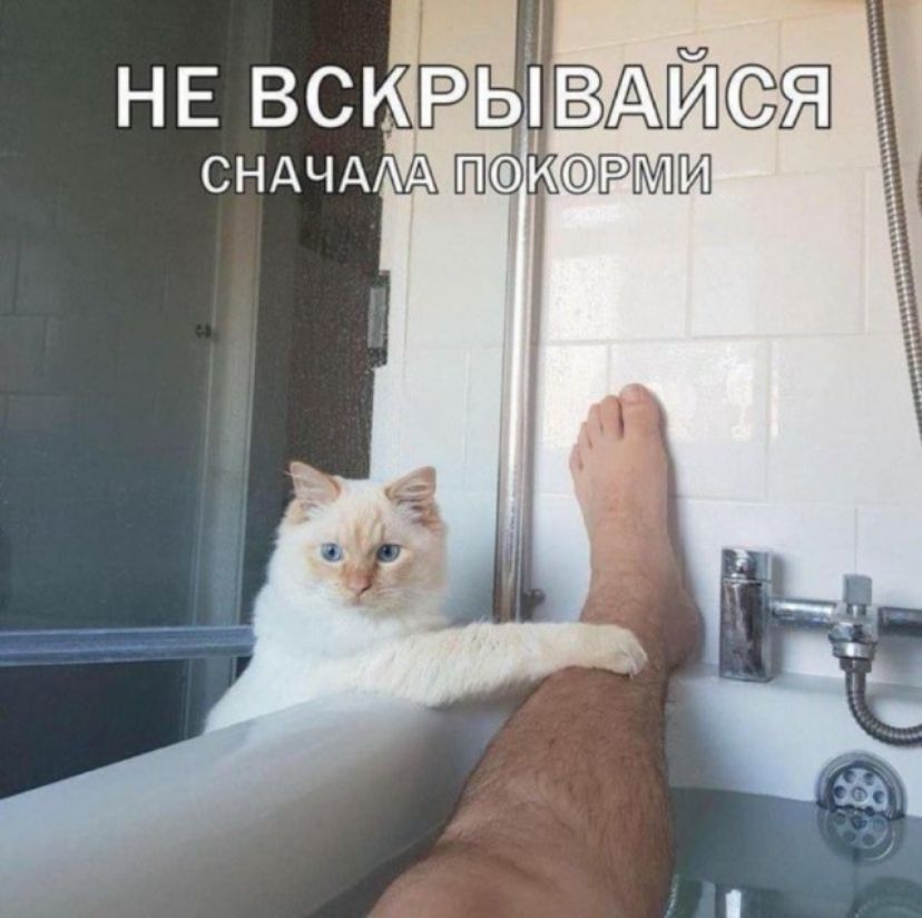 НЕ ВС рвыиэа