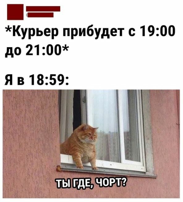 Курьер прибудет с 1900 до 21 00 ТЫ ГДЕ ЧОРТ