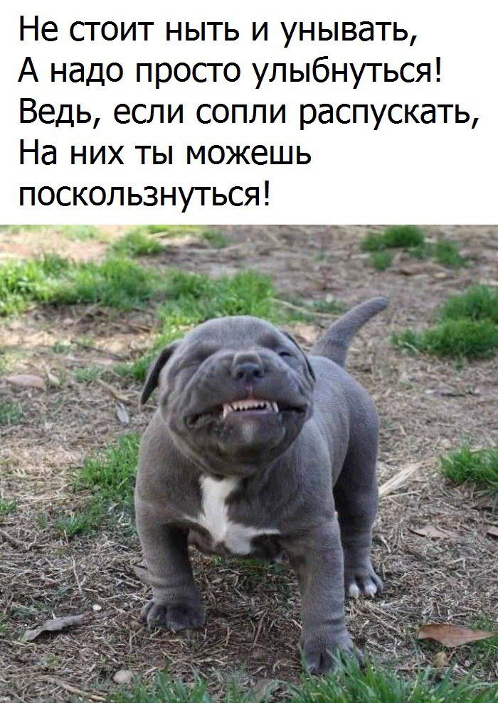 Не сгоит ныть и унывать А надо просго улыбнуться Ведь если сопли распускать На них ты можешь поскоп ьзнуться