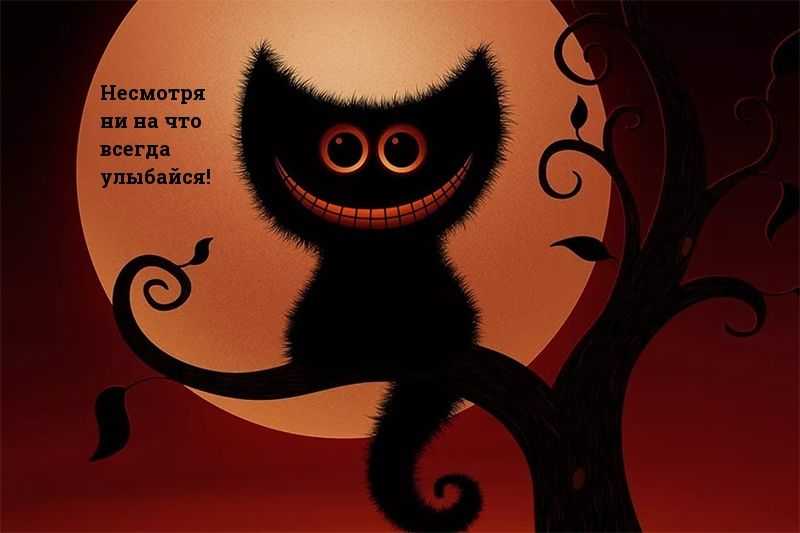 Несмотря ви на что всегда улыбайся