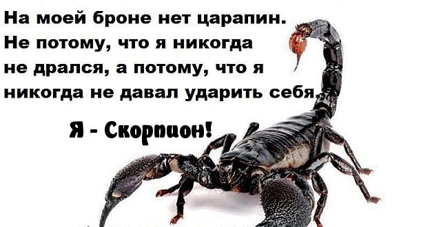 На моей броне пет царапин Не поищу что я никогда не дрался а почему что и и пищат