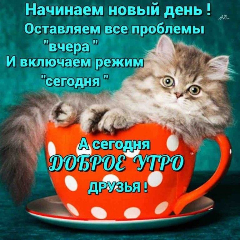 Начинает Оутавляем Ш новый день __7 всеіпроблем ы