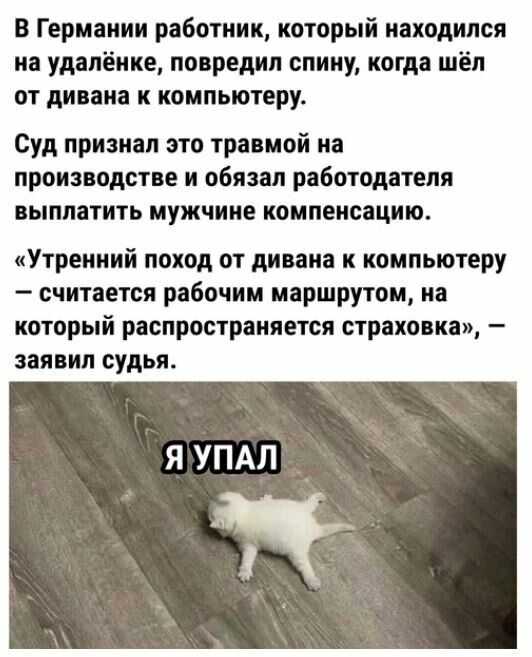 в Германии работник который находился на удаление повредил спину когда шёл ОТ дивана К компьютеру Суд признал это травмой на производстве и обязал работодателя выплатить мужчине компенсацию Утренний поход от дивана к компьютеру считается рабочим маршрутом на который распространяется страхопка заявил судья